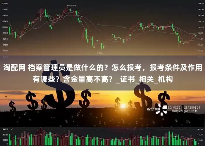 淘配网 档案管理员是做什么的？怎么报考，报考条件及作用有哪些？含金量高不高？_证书_相关_机构
