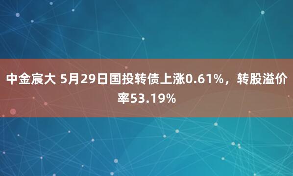 中金宸大 5月29日国投转债上涨0.61%，转股溢价率53.19%