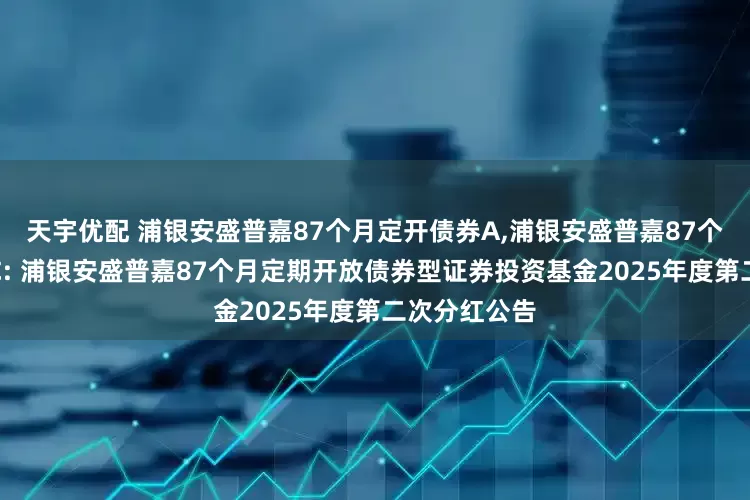 天宇优配 浦银安盛普嘉87个月定开债券A,浦银安盛普嘉87个月定开债券C: 浦银安盛普嘉87个月定期开放债券型证券投资基金2025年度第二次分红公告