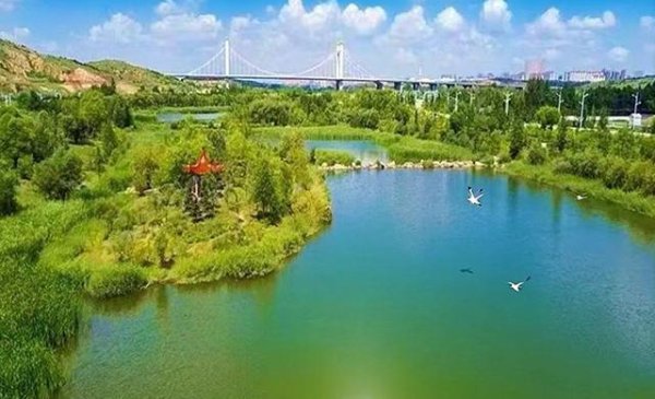 金富宝 鄂尔多斯东胜区：河湖泛清波 绿意满东胜