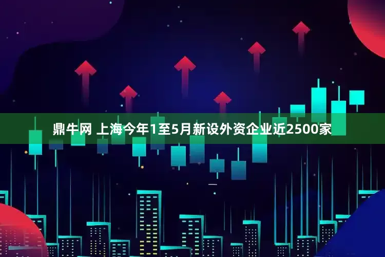 鼎牛网 上海今年1至5月新设外资企业近2500家