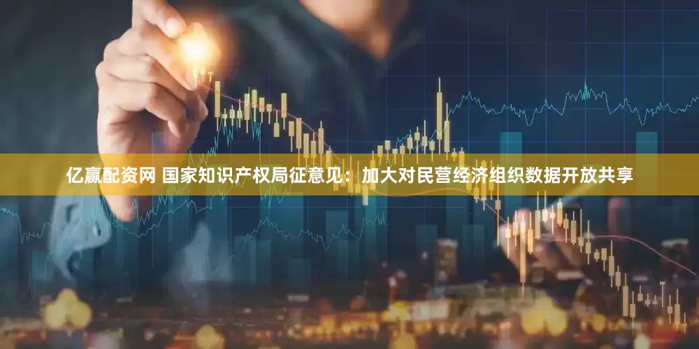 亿赢配资网 国家知识产权局征意见：加大对民营经济组织数据开放共享