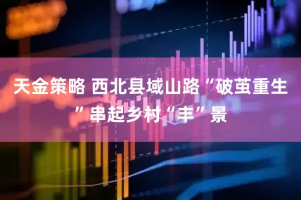 天金策略 西北县域山路“破茧重生”串起乡村“丰”景